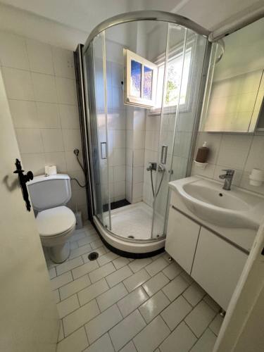 a bathroom with a shower and a toilet and a sink at Serene appartment at St. Ioannis in Agios Ioannis Pelio