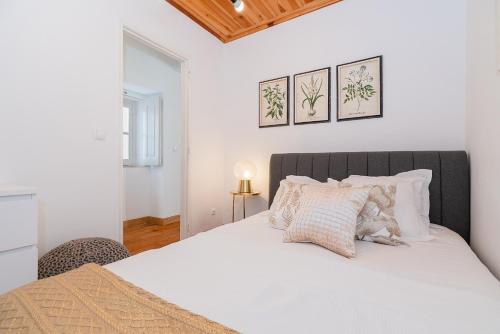 River View 1BDR Apt in Alfama close to tram