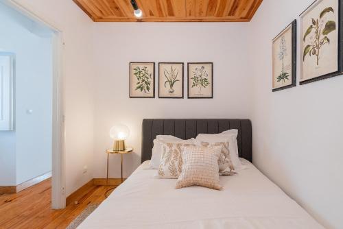 River View 1BDR Apt in Alfama close to tram