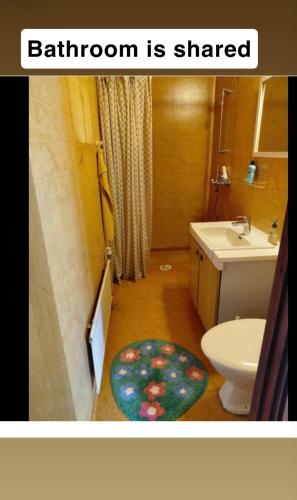 a bathroom with a sink and a toilet and a rug at Guest room in Retro House in Turku