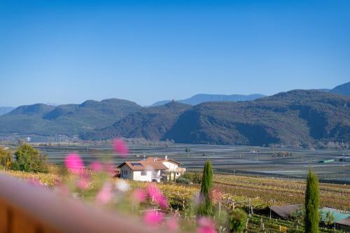 a house on a hill with mountains in the background at Apartments Burgunderhof in Termeno