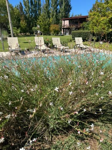 a field of flowers with chairs in a park at Las Rosas in Mar Azul