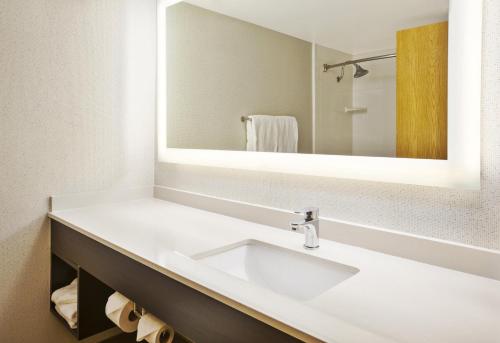 a bathroom with a white sink and a mirror at Holiday Inn Express & Suites Chicago-Midway Airport by IHG in Bedford Park
