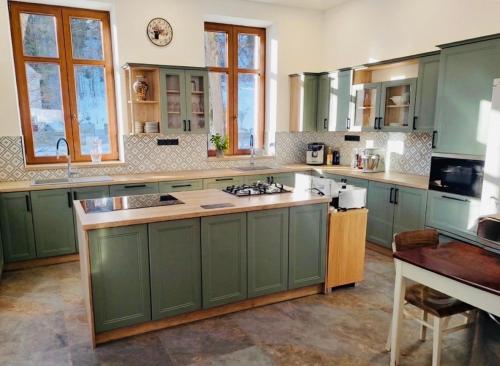 a large kitchen with green cabinets and a table at Celnice pod Sněžníkem-Nová Seninka in Staré Město