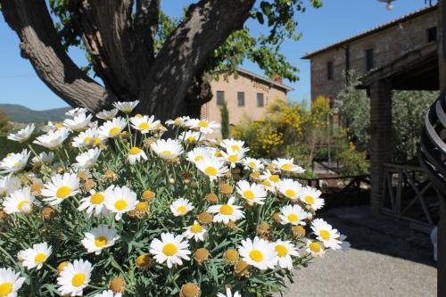 a bunch of white and yellow flowers in front of a tree at Casa Di Campagna In Toscana in Sovicille