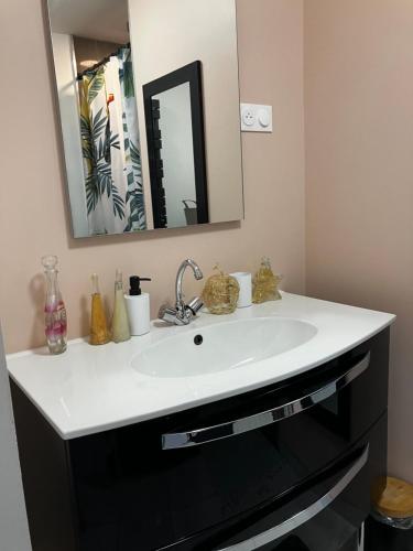 a bathroom with a white sink and a mirror at Petit gîte a côté des plages in Triaize
