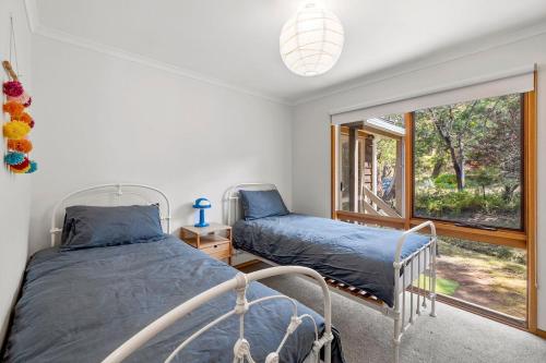 a bedroom with two beds and a window at Atwood in Aireys Inlet