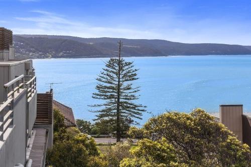 a tree on the side of a large body of water at Point Grey Apartment 13 in Lorne
