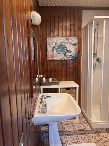 a bathroom with a sink and a shower at Al Mare Home in Pula