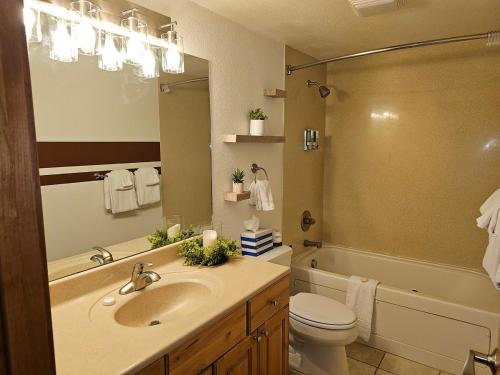 a bathroom with a sink and a toilet and a shower at Alpenglow One Bedroom One Bath – A09 in Ouray