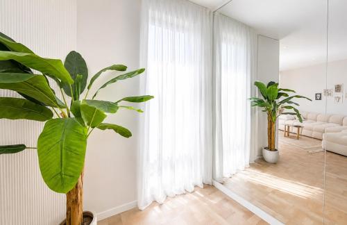 a living room with a large window and a plant at Green Terrace Square View in Tirana