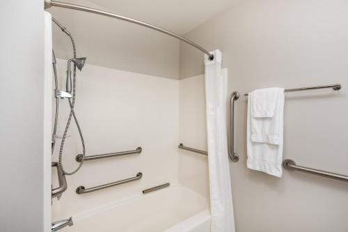 a bathroom with a shower and a bathtub at Holiday Inn Express Warrenton by IHG in Warrenton