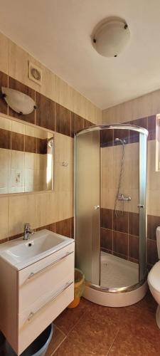 a bathroom with a shower and a sink and a toilet at Międzywodami Jastarnia in Jastarnia