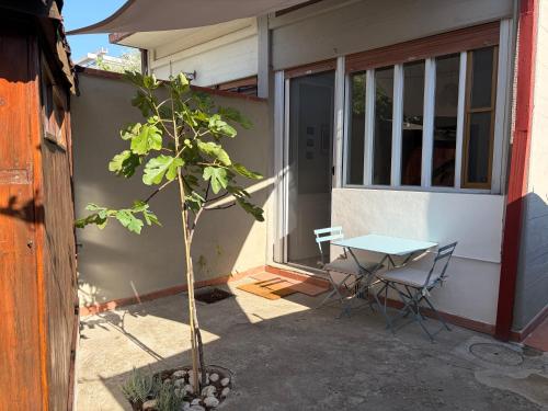 Casa Leo - accogliente con giardino a Firenze