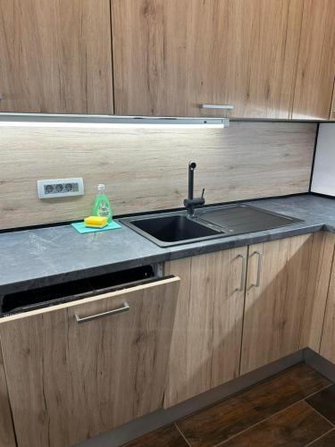 a kitchen with a sink and a counter top at Apartments near Ljubljana, Sleeps 10, Free Parking in Škofljica