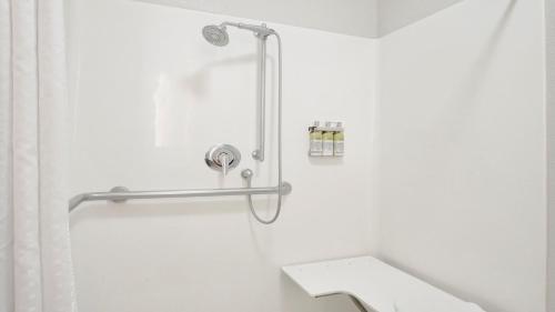 a shower in a white bathroom with a toilet at Holiday Inn Express Hotel & Suites Portland by IHG in Portland