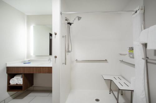 a bathroom with a shower and a sink at Holiday Inn Express & Suites - Sterling by IHG in Sterling