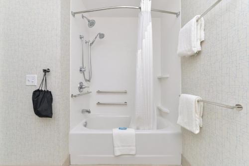 a bathroom with a shower and a bath tub with a sink at Holiday Inn Express & Suites - Ogallala by IHG in Ogallala