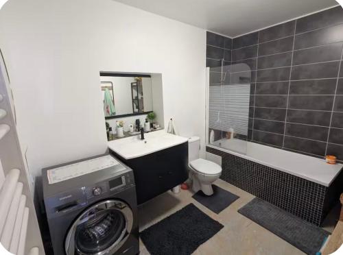 a bathroom with a toilet sink and a washing machine at L Ecrin de Mussy in Mussy-sur-Seine