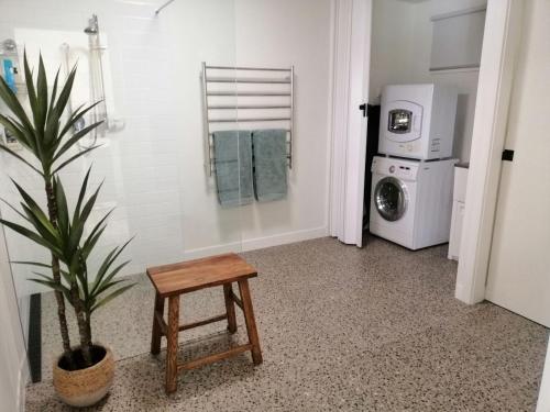 a bathroom with a washer and dryer and a plant at Omaroo in Wye River
