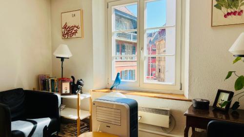 In Swiss Home - Rathaus from 1284 historical Apartment