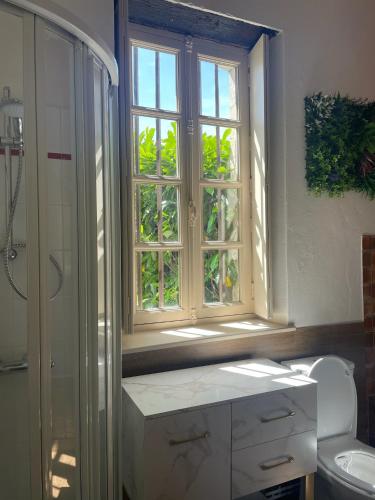 a bathroom with a window and a sink and a toilet at La Raimbauderie, villa 4 étoiles, avec clim, au coeur de la nature et des vignobles in La Chapelle-Montlinard