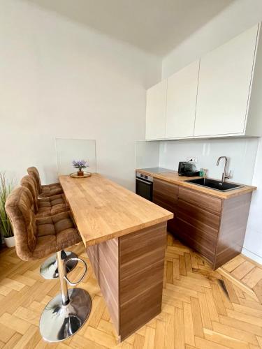 Beautiful Vienna Apartment near Schönbrunn Palace