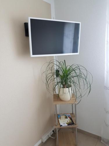 TV a/nebo společenská místnost v ubytování Storchennest