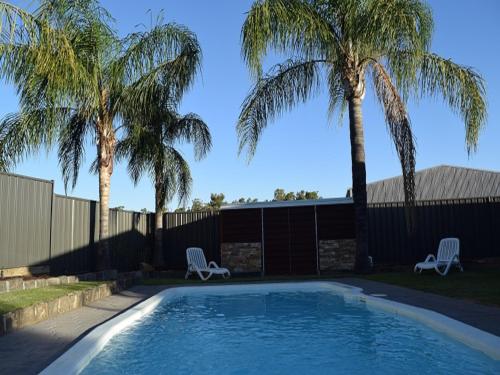 a swimming pool with two palm trees and two chairs at Barooga River Gums Motor Inn in Barooga