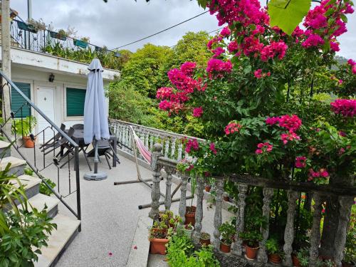 Casa Dos Santos Alojamento - Guest House