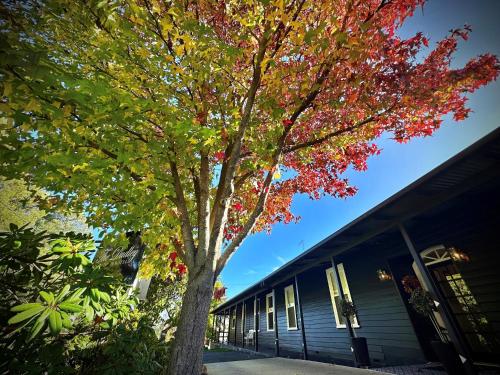 The Dudley Boutique Hotel