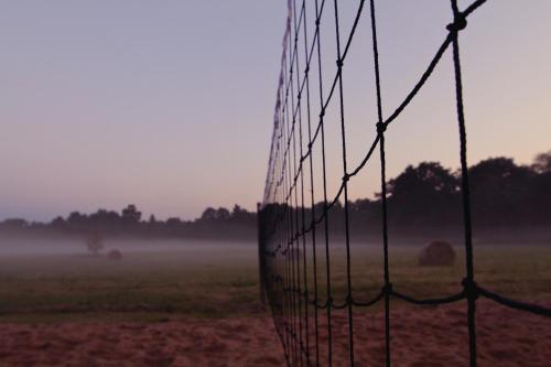 a fence in a field with fog in the background at Metsara B & B in Tornimäe