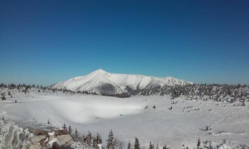 a snow covered mountain in the distance with a lake at Villa Daheim Semmering in Semmering