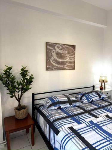 Ioannis Flat