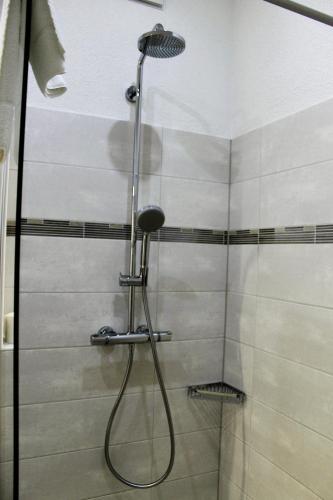 a shower with a shower head in a bathroom at Ferienwohnungen Tannenhof in Steinen