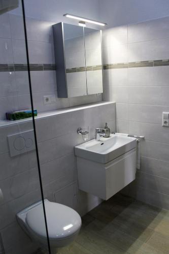 a bathroom with a sink and a toilet and a mirror at Ferienwohnungen Tannenhof in Steinen