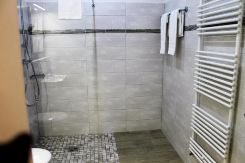 a bathroom with a shower with a toilet and a sink at Ferienwohnungen Tannenhof in Steinen