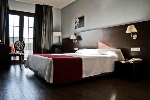 カステルデフェルスにあるHotel Canal Olímpicの大きなベッドと椅子が備わるホテルルームです。