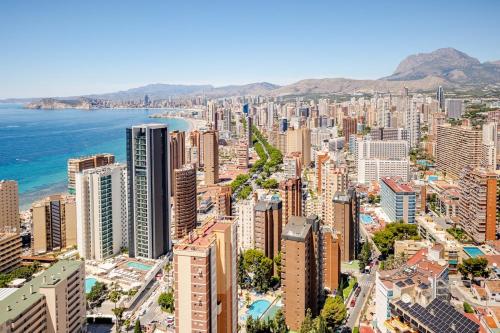 Panorama Azul 26