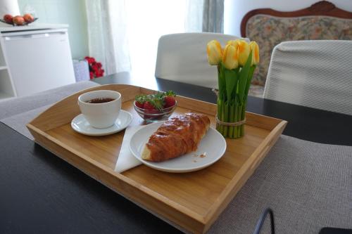 Charming High-Ceiling Apartment near Rijeka Center
