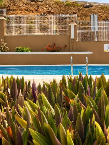Comfort in Playa las Americas