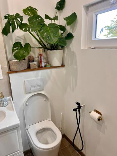 2 bedroom appartement near train station