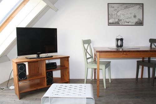 Телевизор и/или развлекательный центр в Appartementenhotel Tjermelân Terschelling