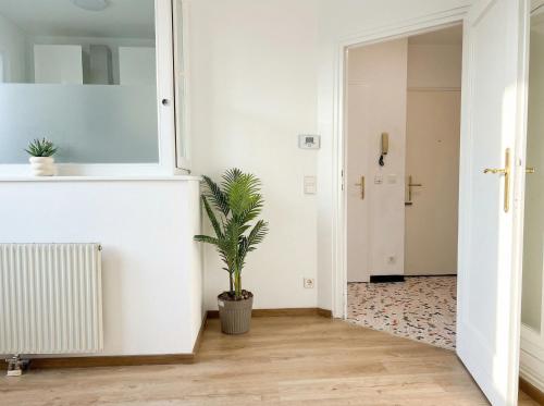 Modern 3-Bedroom Apartment with Balcony near Belvedere Palace