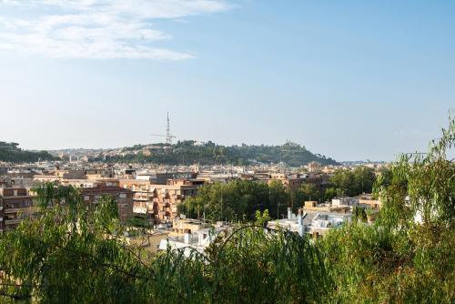 Vatican View Experience