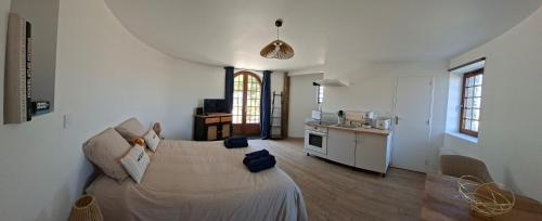 Studio meublé dans moulin à Saint Malo