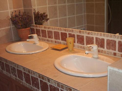 eine Badezimmertheke mit zwei Waschbecken und einem Spiegel in der Unterkunft Gîte Saint-Veredeme in Pujaut