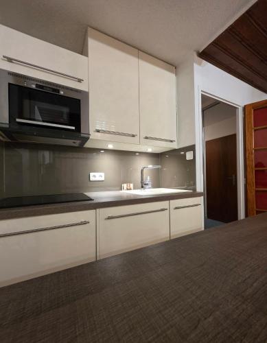 Le Serac Panoramic Mountain View spacious 40m2 managed by private host