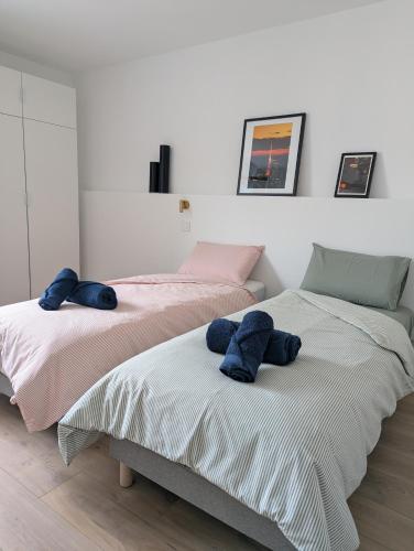 Grand appartement lumineux entièrement rénové