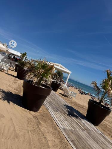 Apartament Torreblanca del Sol
